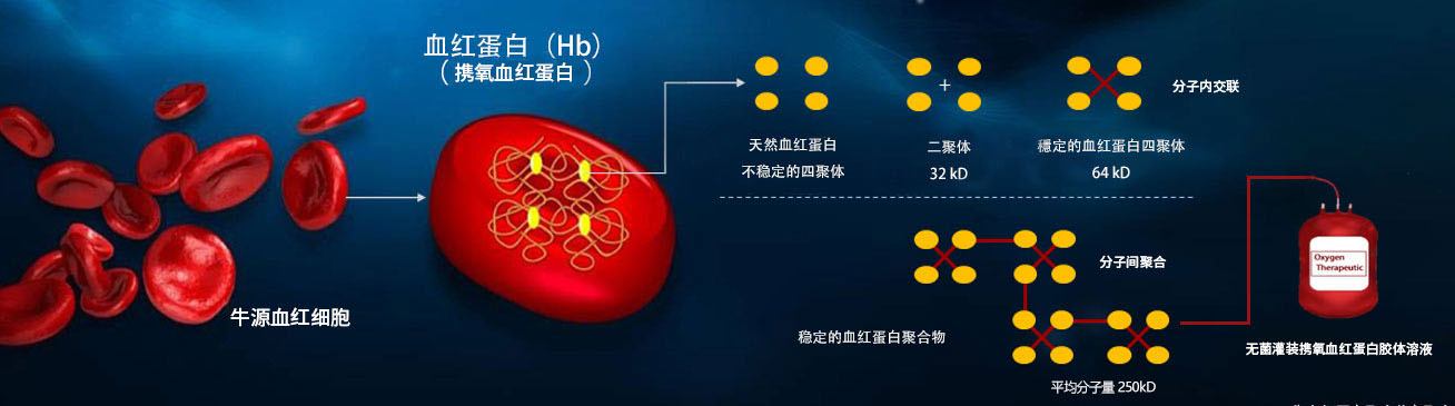 润方牛源血红蛋白供氧剂